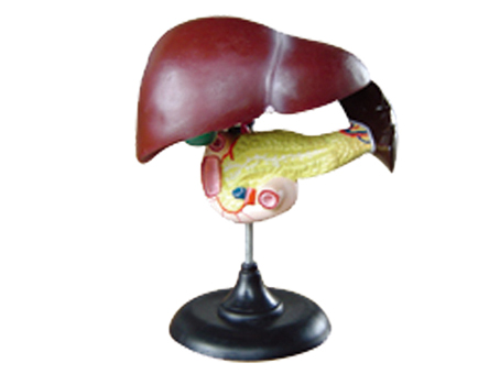 SD-093 33216ʮ֬cKģ